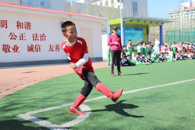 踢球者对德甲球队夏窗引援评分 拜仁第一多特第十